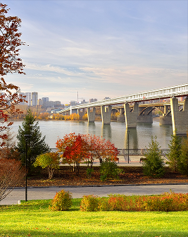 Карточка региона Новосибирская область