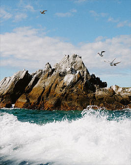 Карточка региона Приморский край